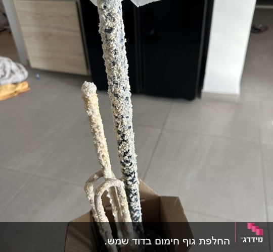 גוף חימום עם אבנית בתוך קופסה